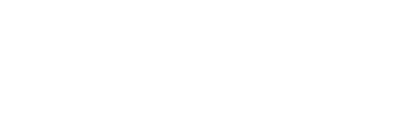 Nexstorya – Visa Services