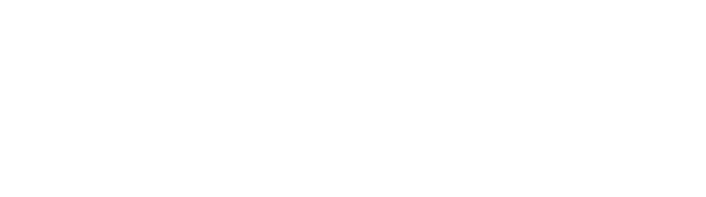 Nexstorya – Visa Services